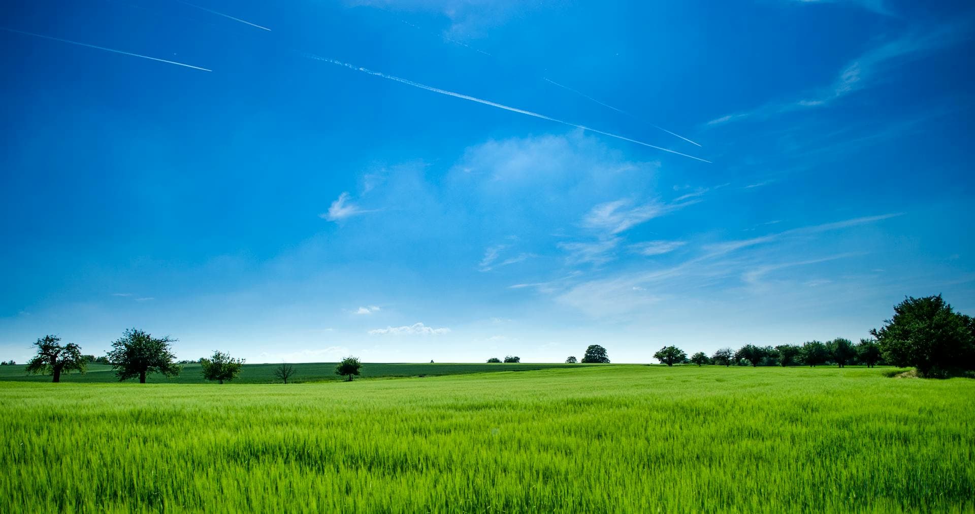 Panoramic view of green agricultural fields under blue sky