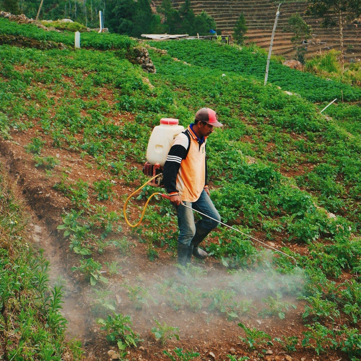 Safe Handling and Storage of Agrochemicals on the Farm