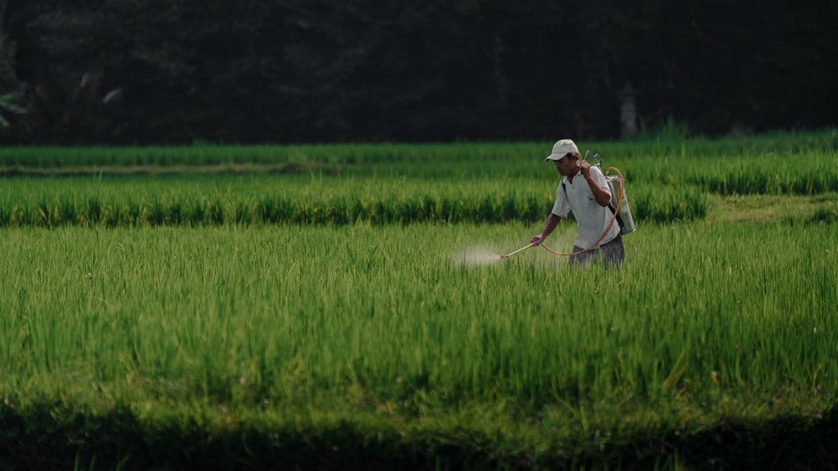 How Spray Adjuvants Can Dramatically Improve Pesticide Performance